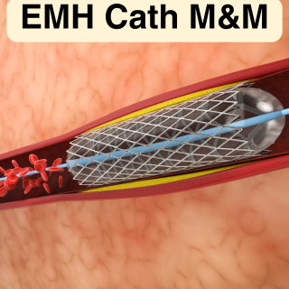 2025 EMH Cath M&M (RSS) Banner